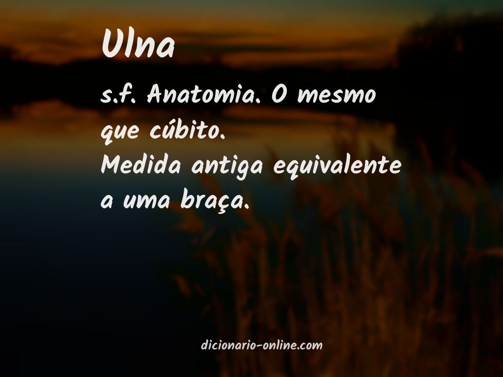 Significado de ulna