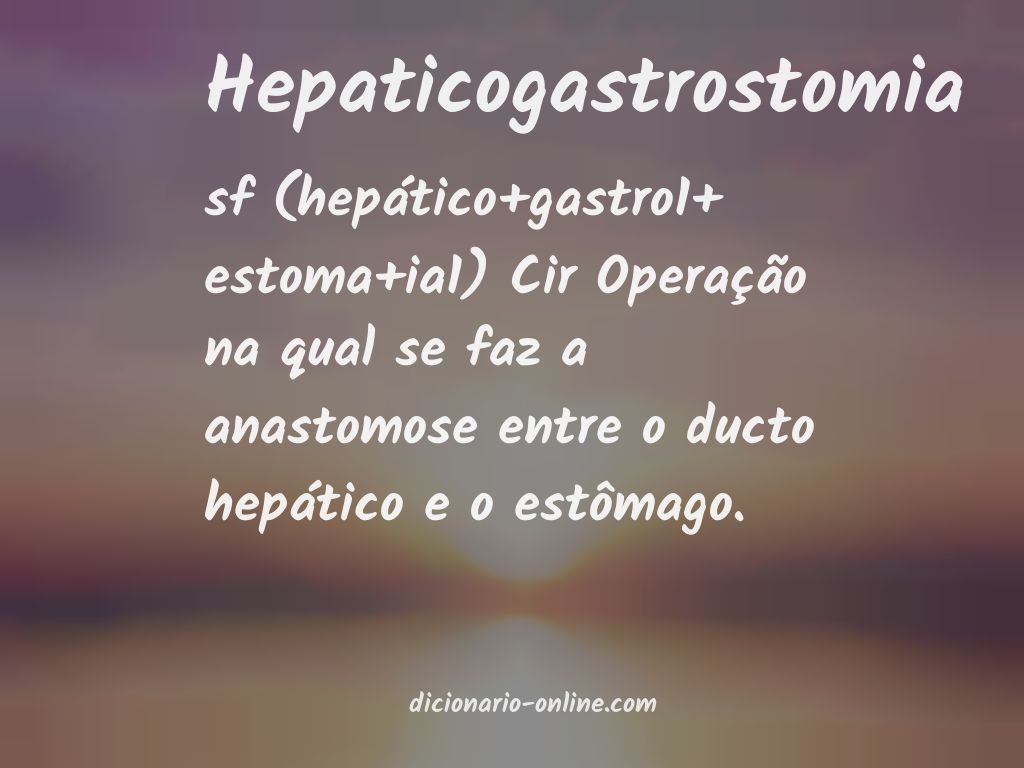 Significado de hepaticogastrostomia