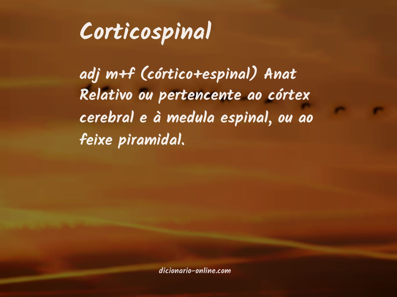 Significado de corticospinal