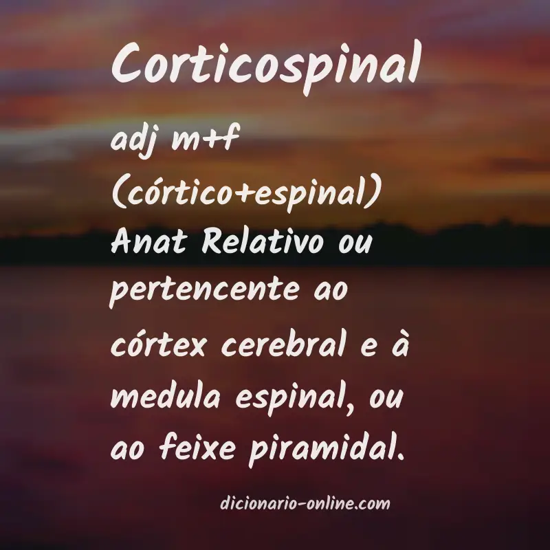 Significado de corticospinal
