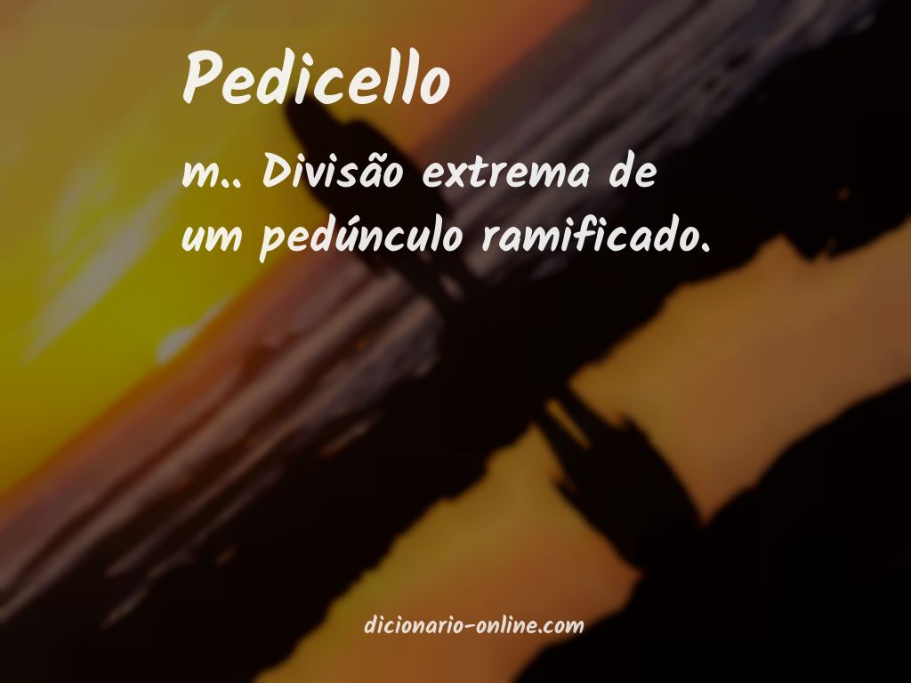 Significado de pedicello