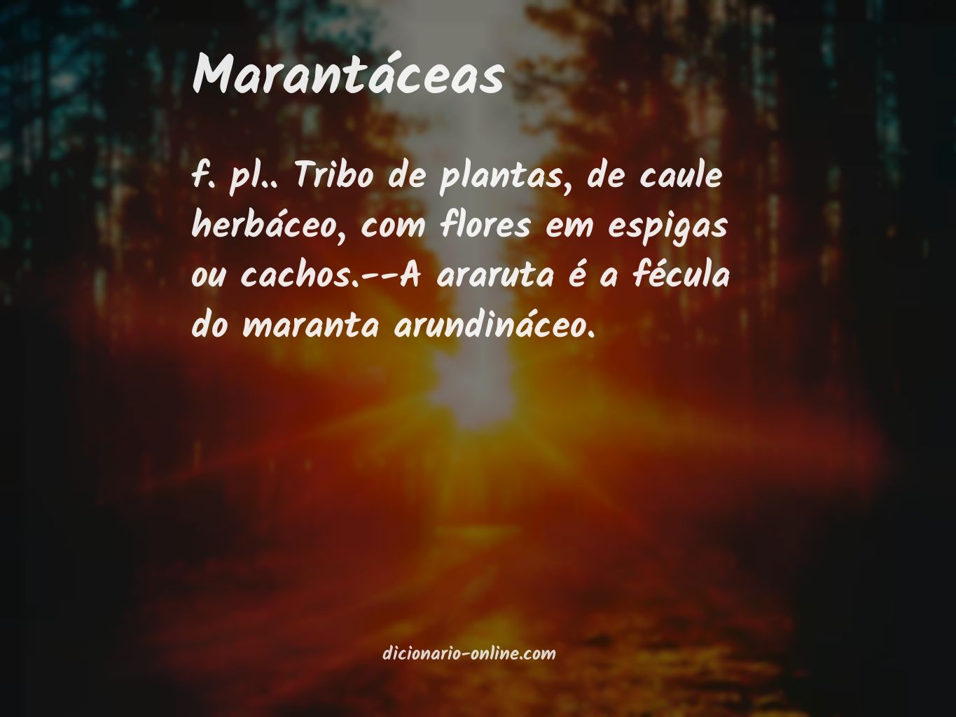 Significado de marantáceas