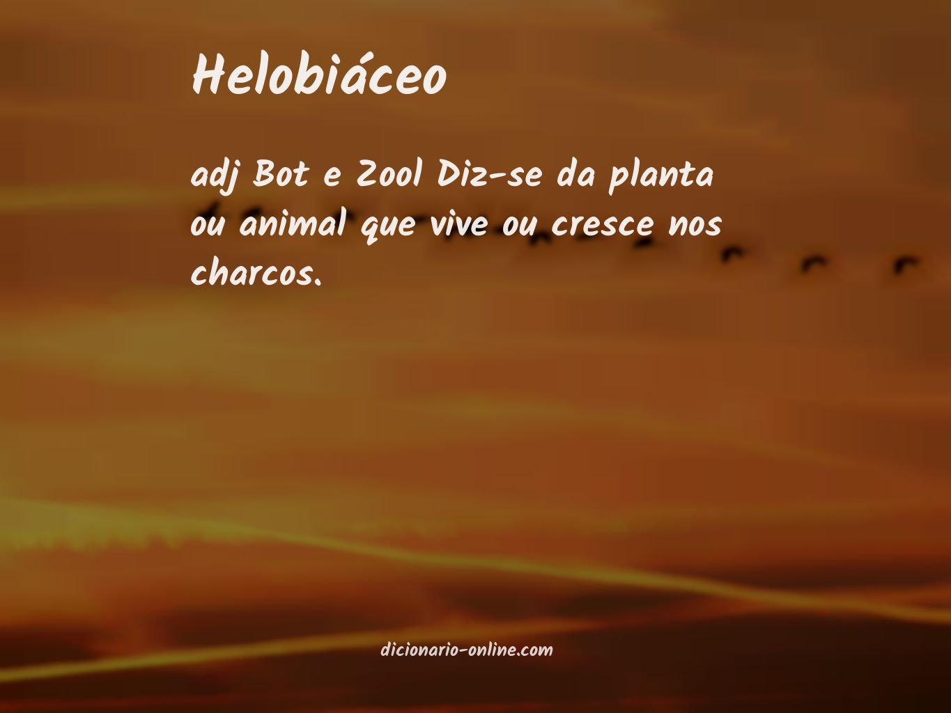 Significado de helobiáceo