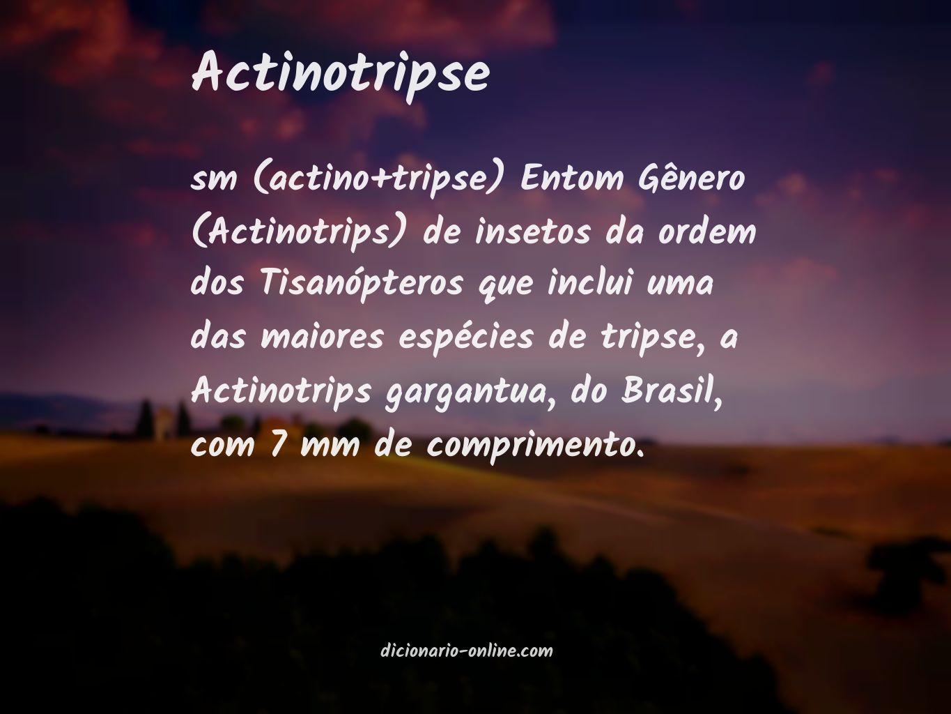 Significado de actinotripse