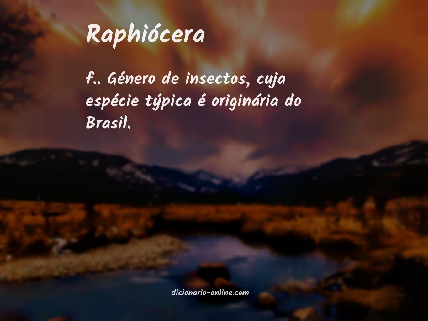 Significado de raphiócera