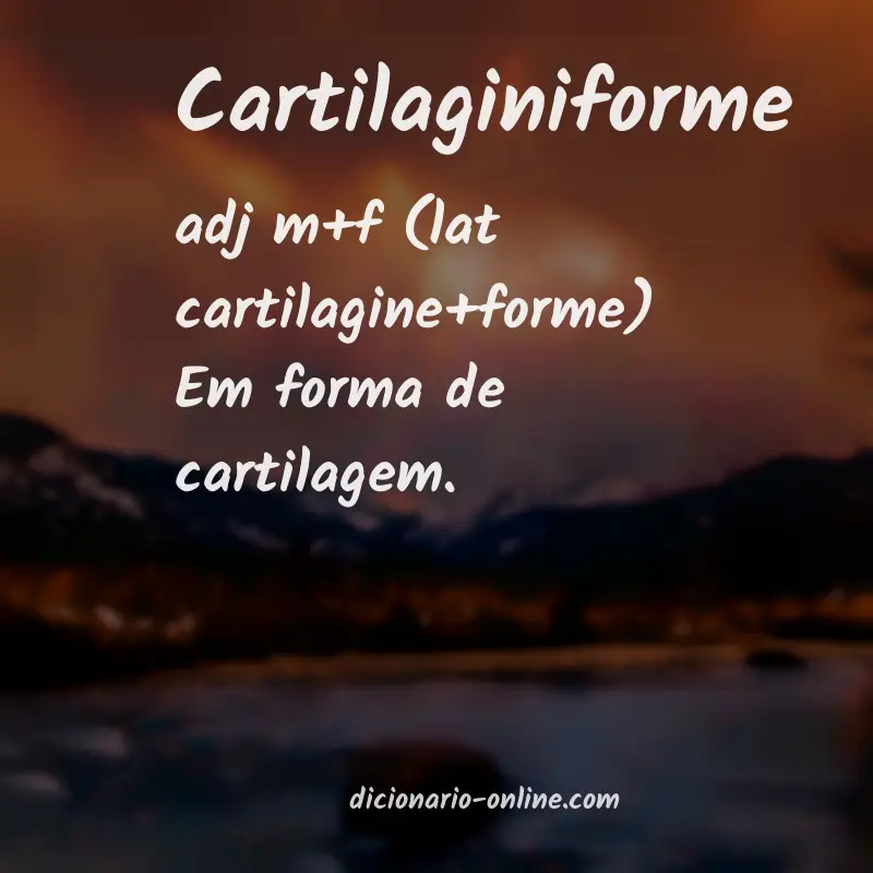Significado de cartilaginiforme