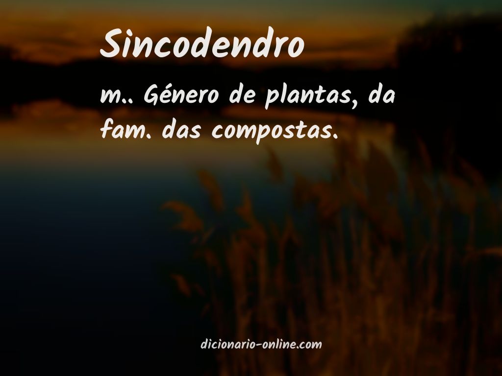 Significado de sincodendro