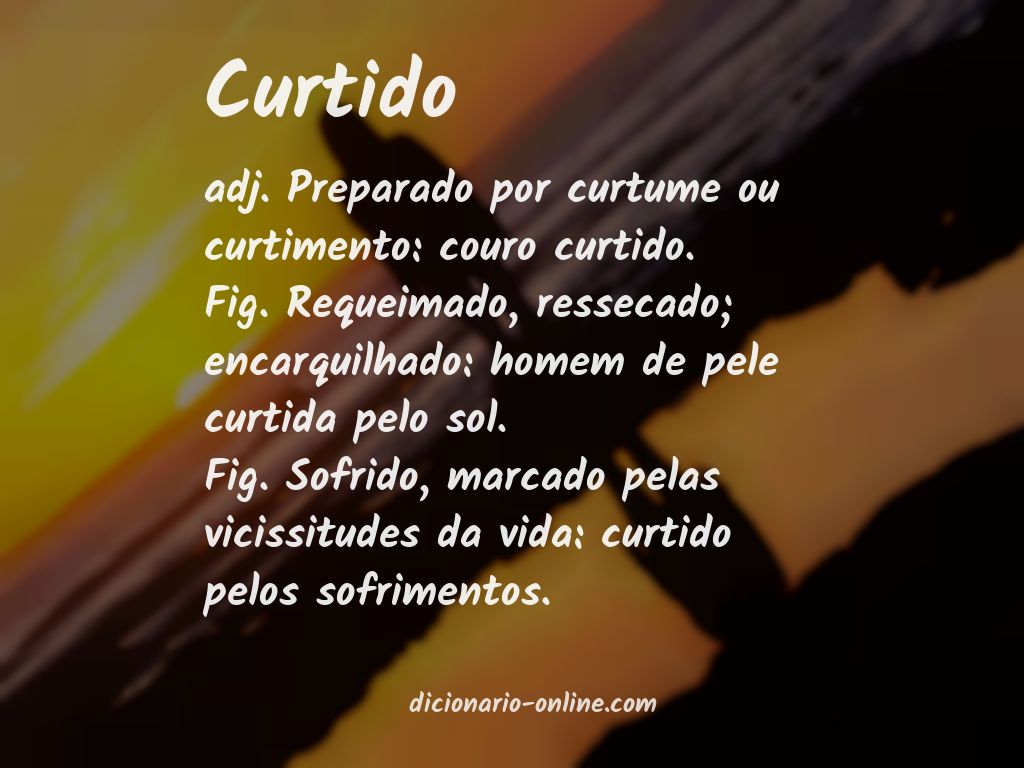 Significado de curtido