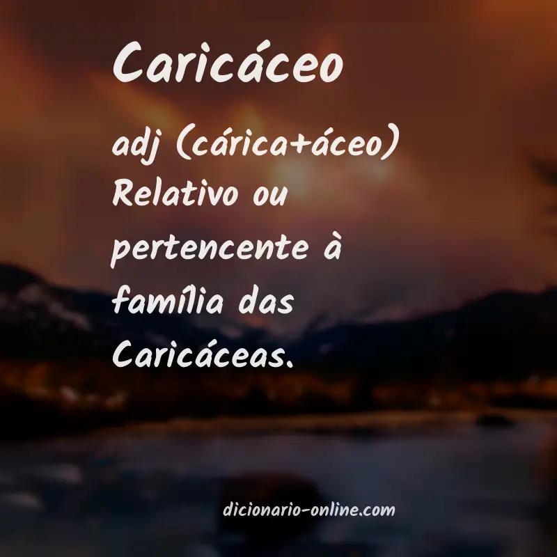 Significado de caricáceo