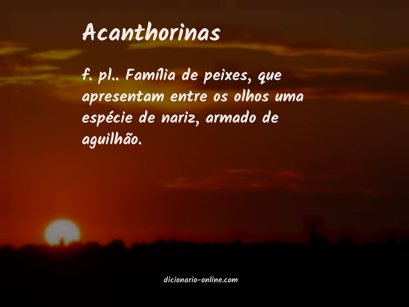 Significado de acanthorinas