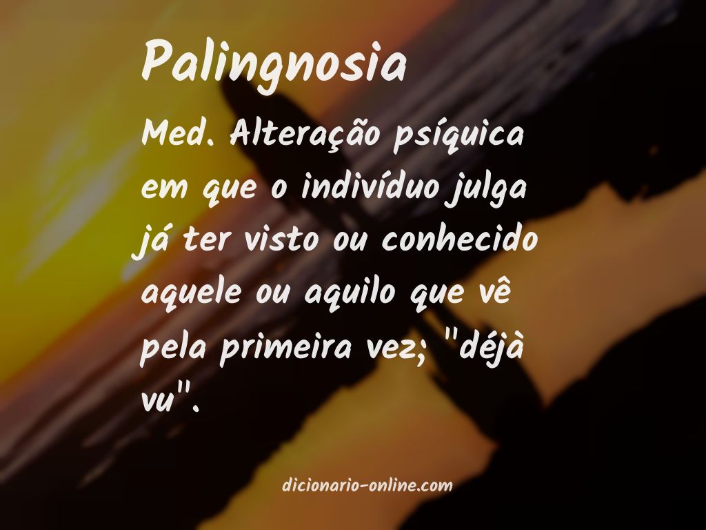 Significado de palingnosia