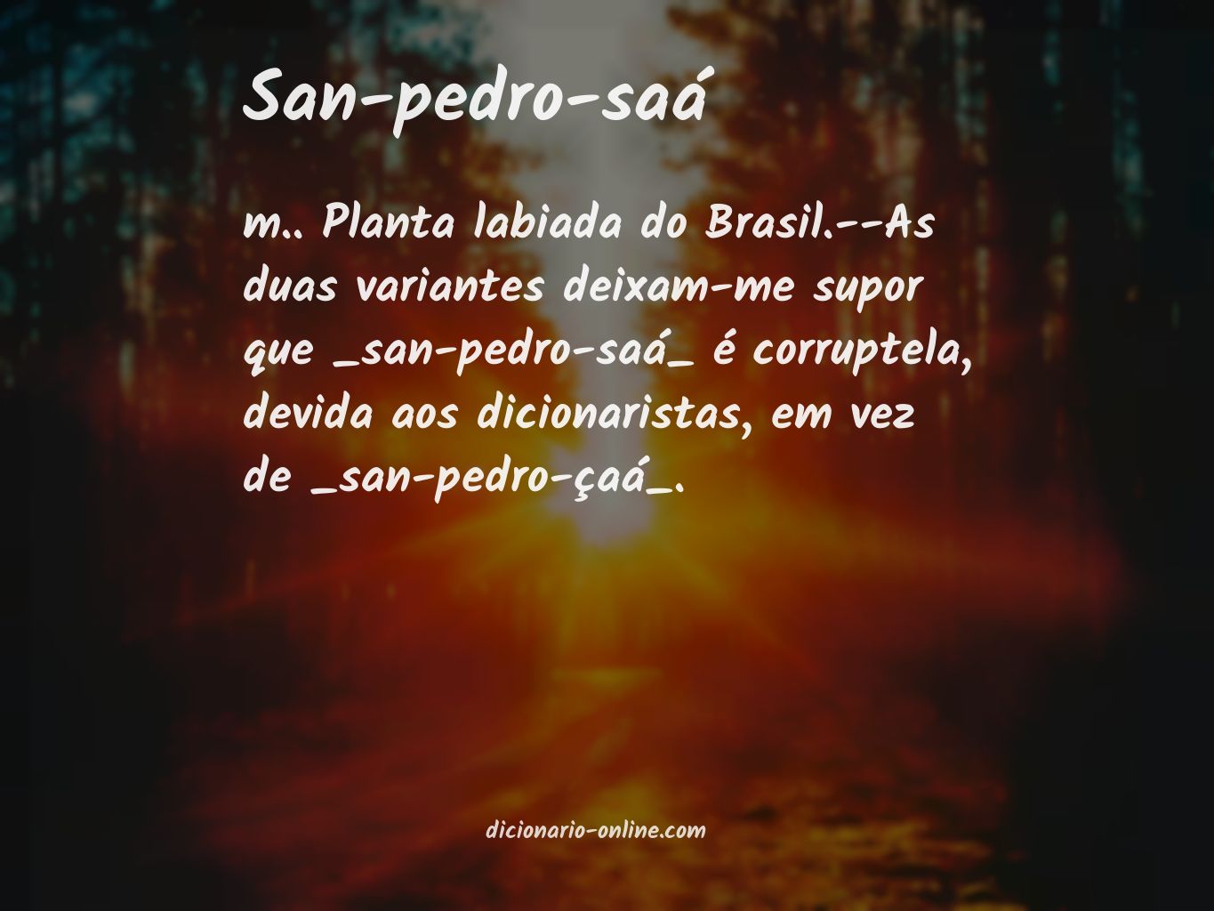 Significado de san-pedro-saá