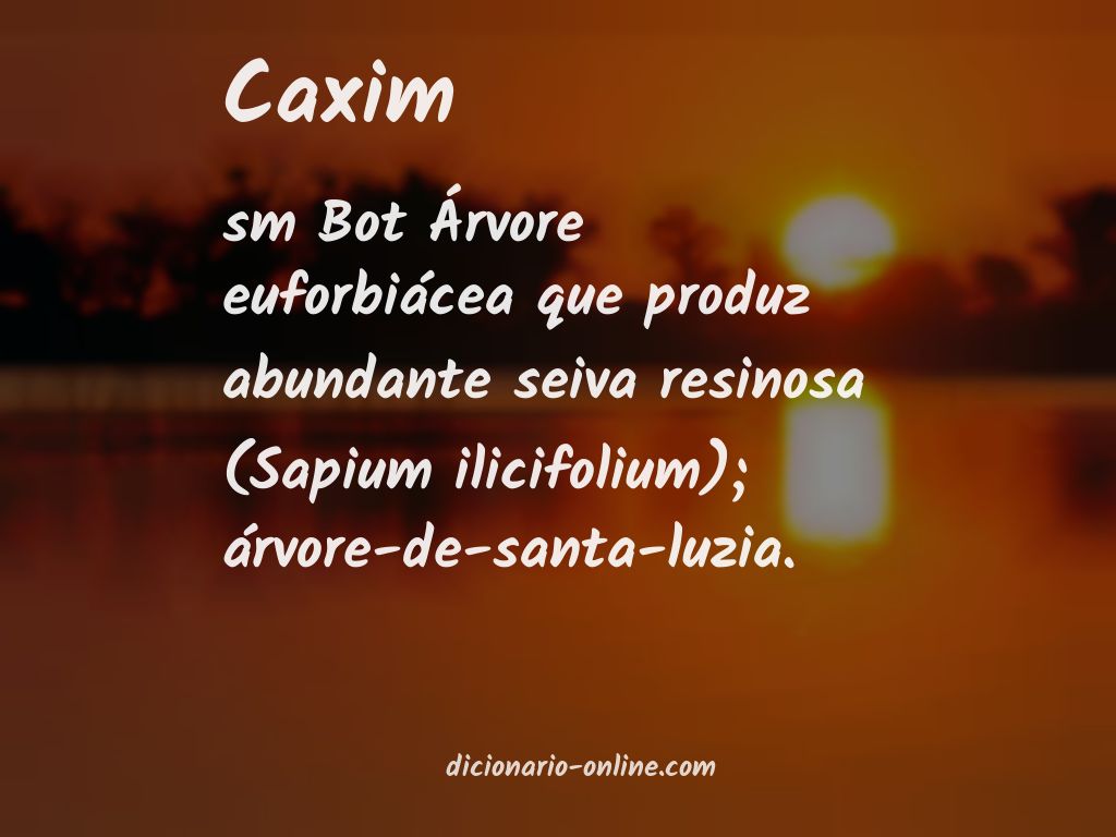 Significado de caxim