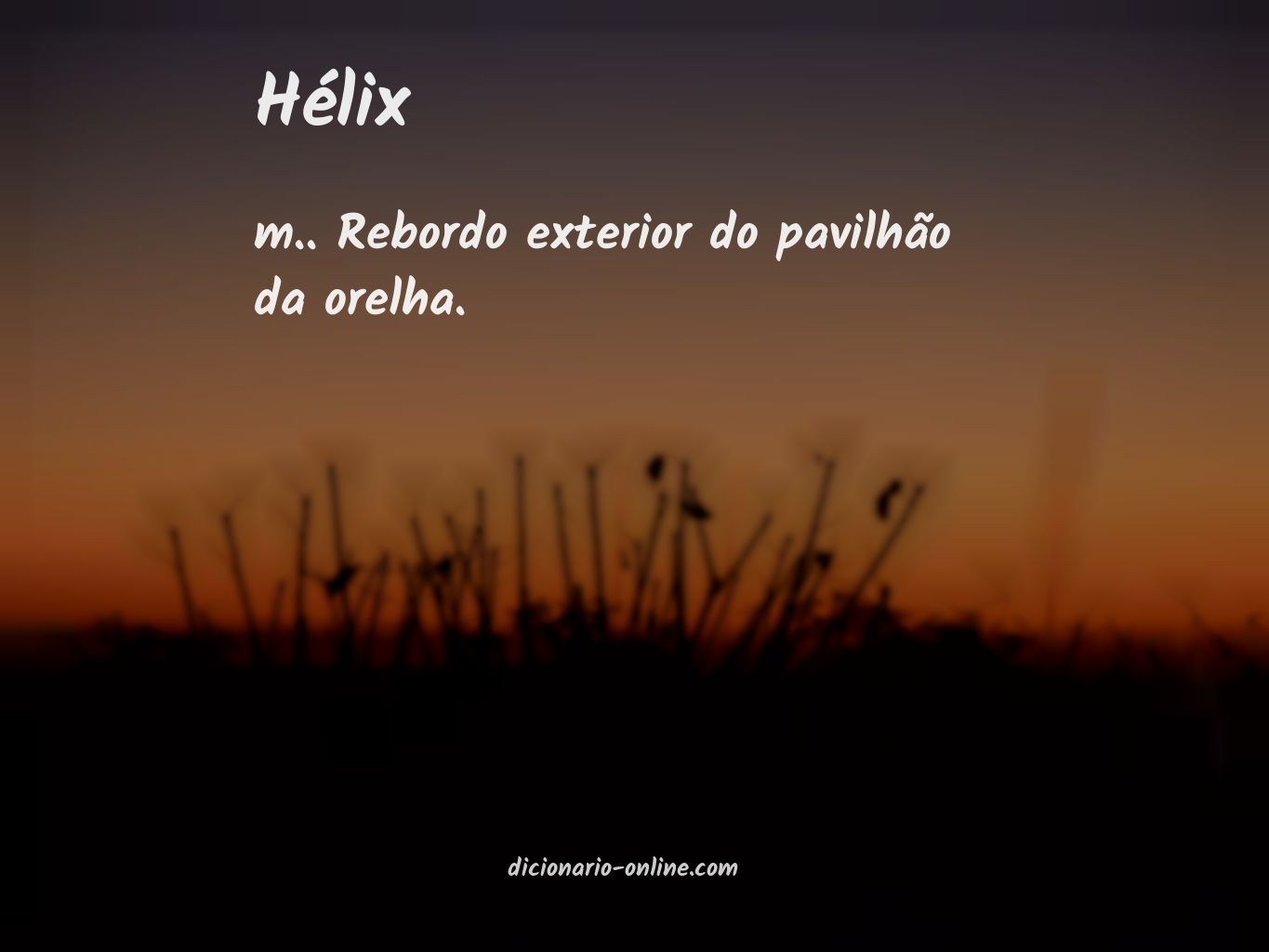 Significado de hélix