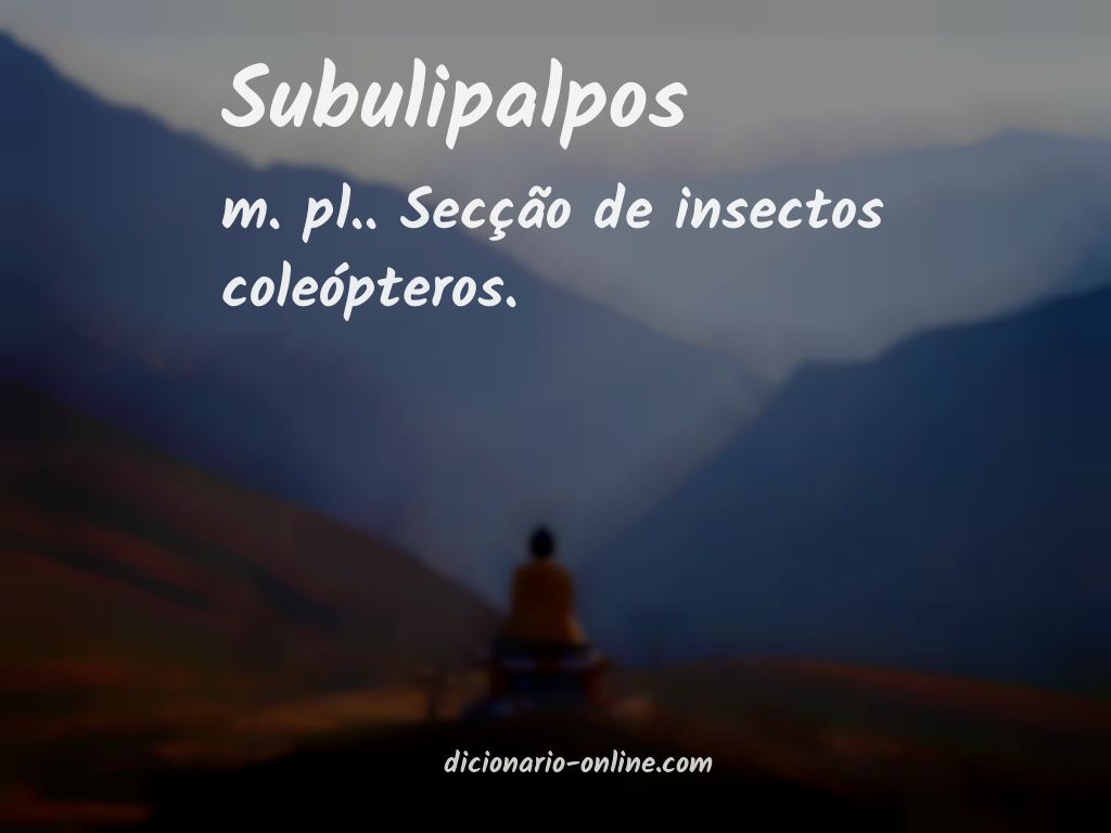 Significado de subulipalpos