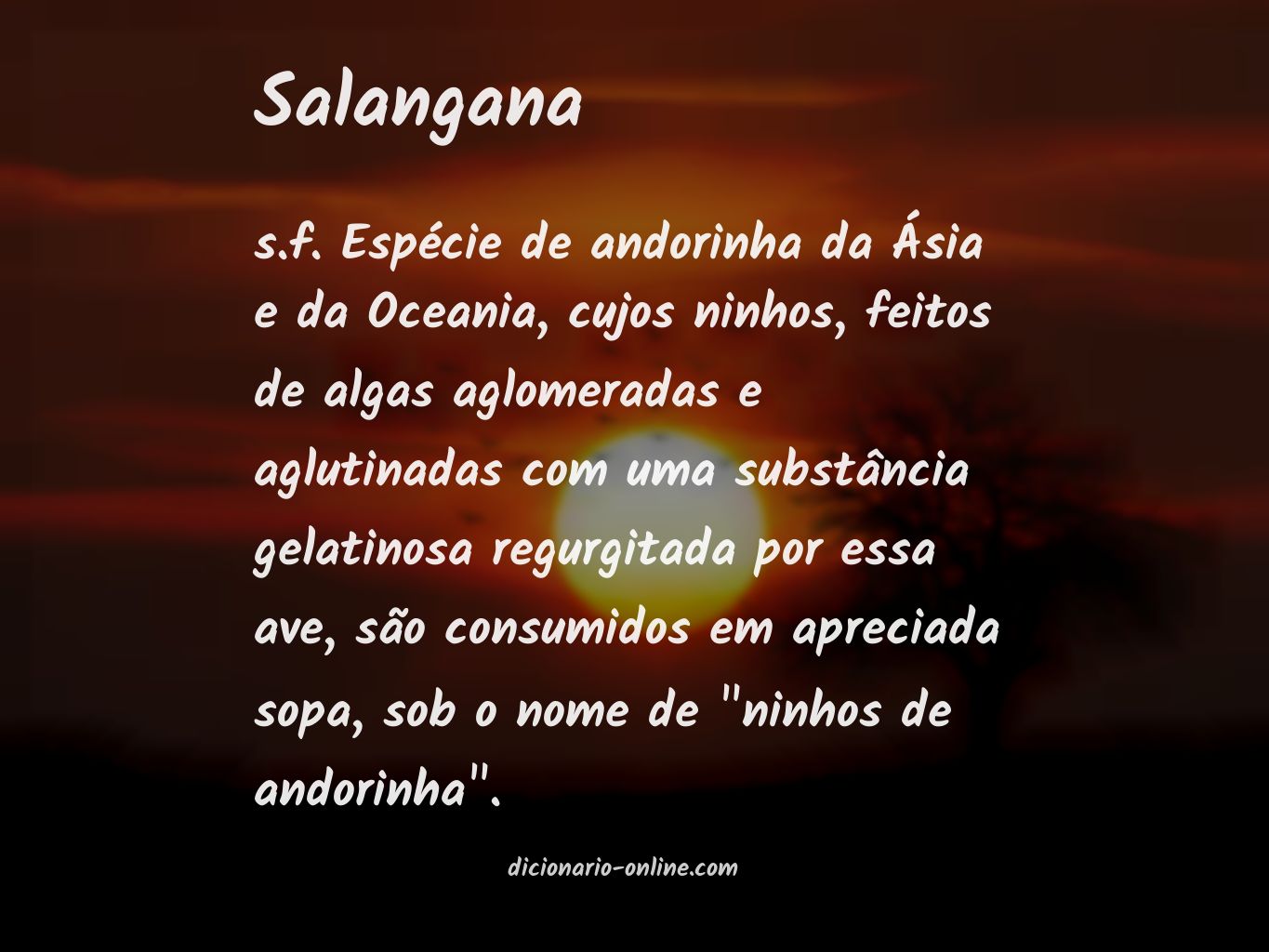 Significado de salangana