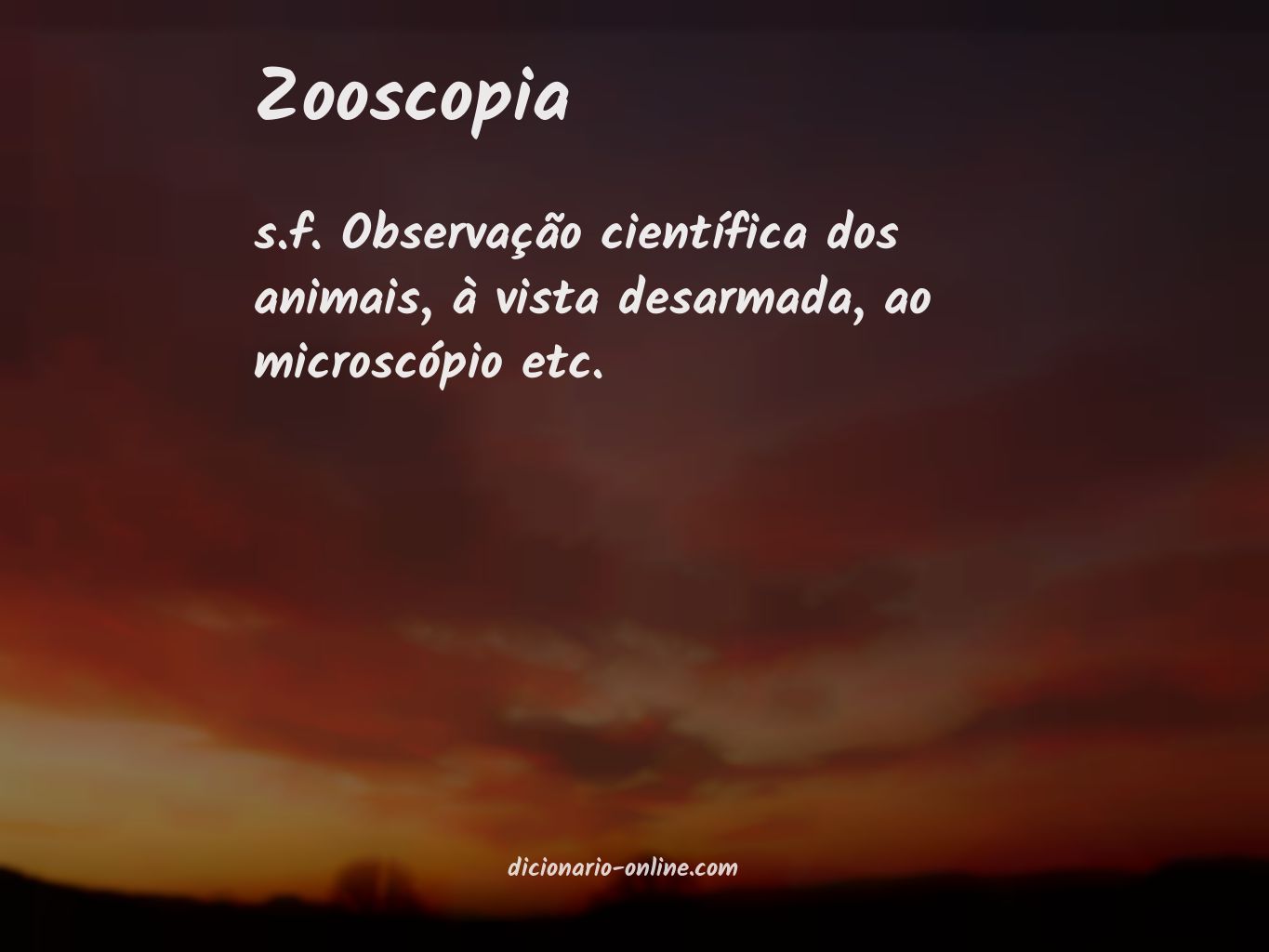 Significado de zooscopia