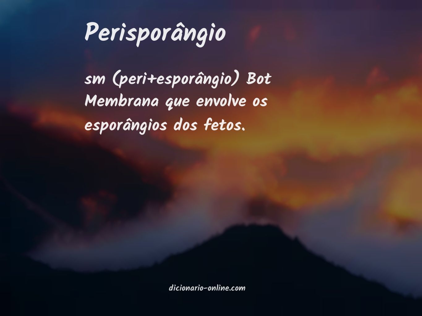 Significado de perisporângio