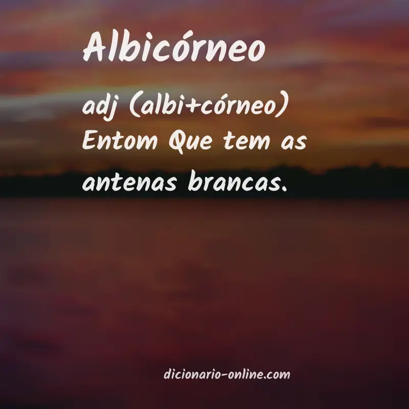 Significado de albicórneo