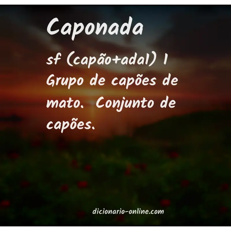 Significado de caponada