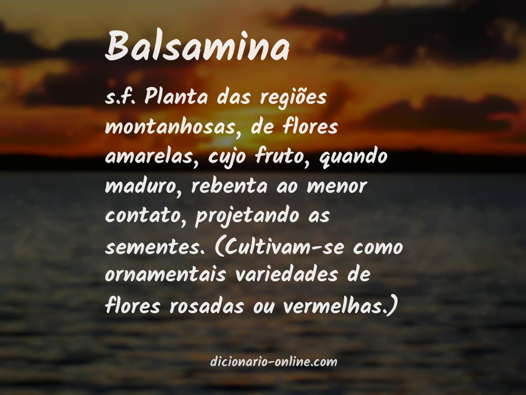 Significado de balsamina