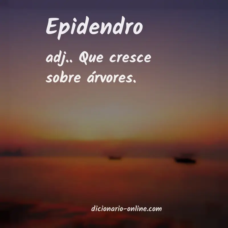 Significado de epidendro