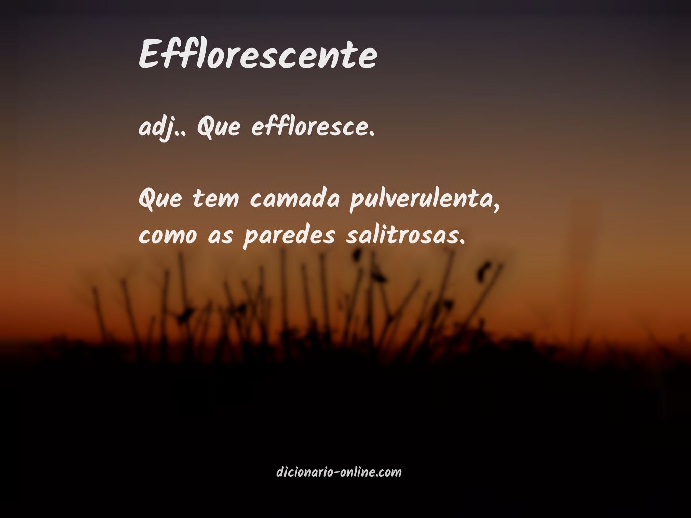 Significado de efflorescente