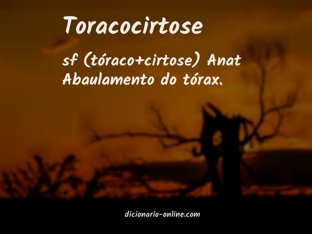 Significado de toracocirtose