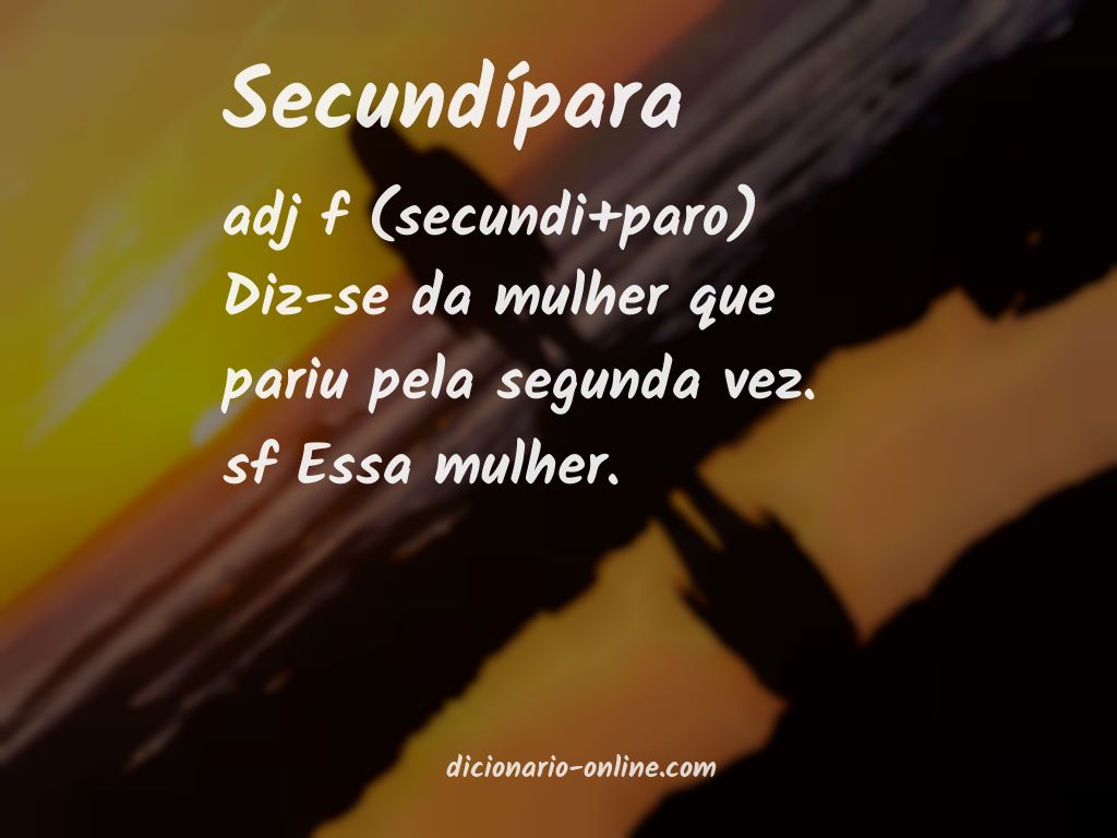 Significado de secundípara