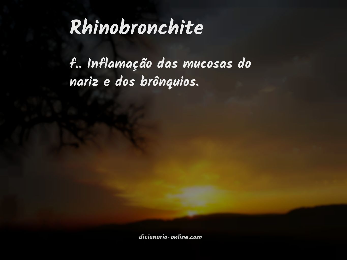 Significado de rhinobronchite