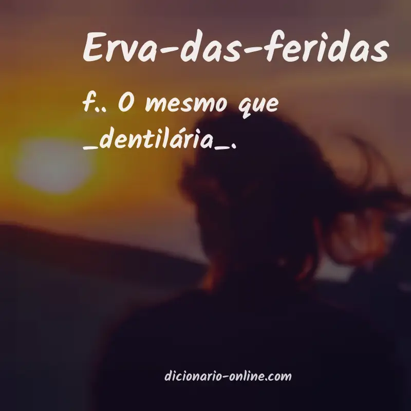 Significado de erva-das-feridas