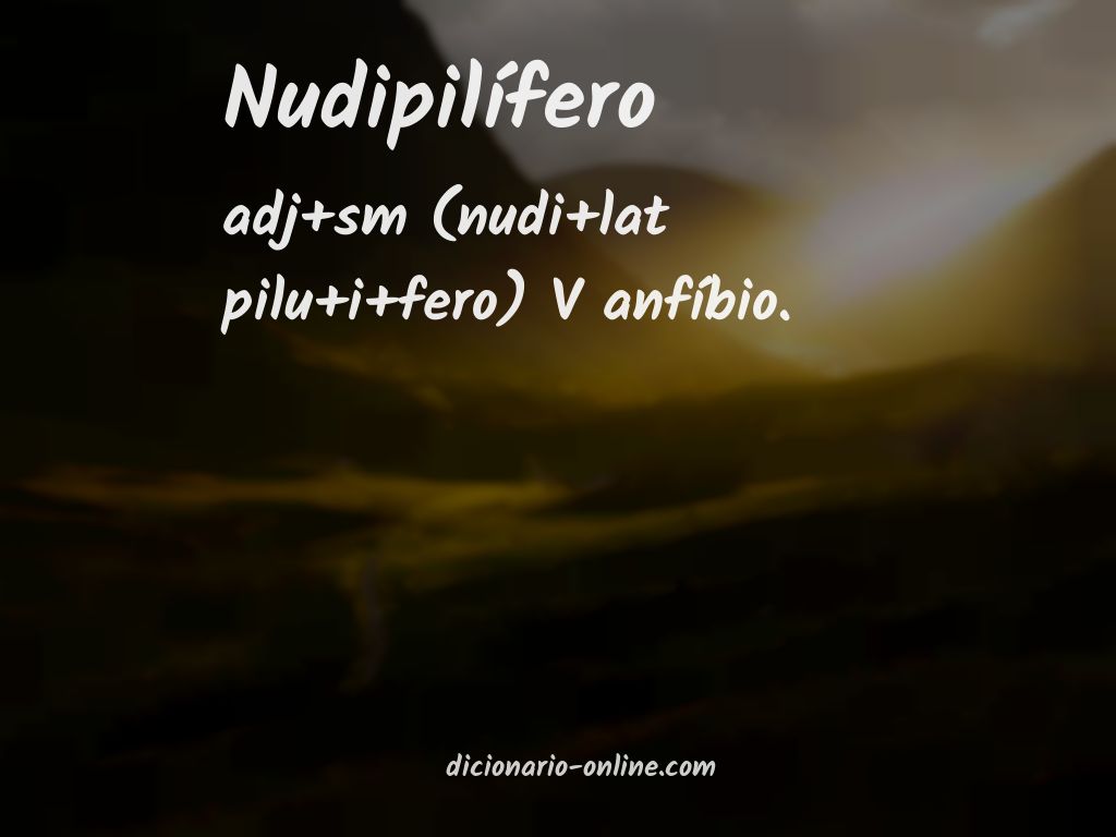 Significado de nudipilífero