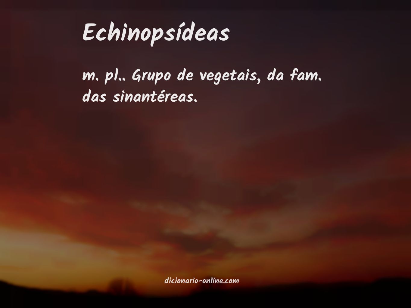 Significado de echinopsídeas