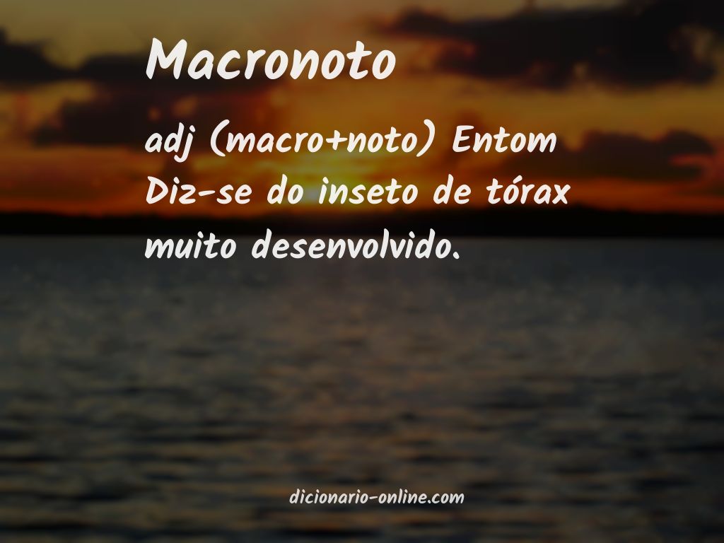 Significado de macronoto