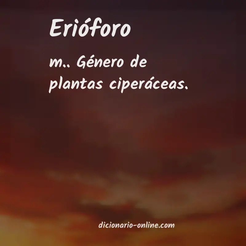 Significado de erióforo