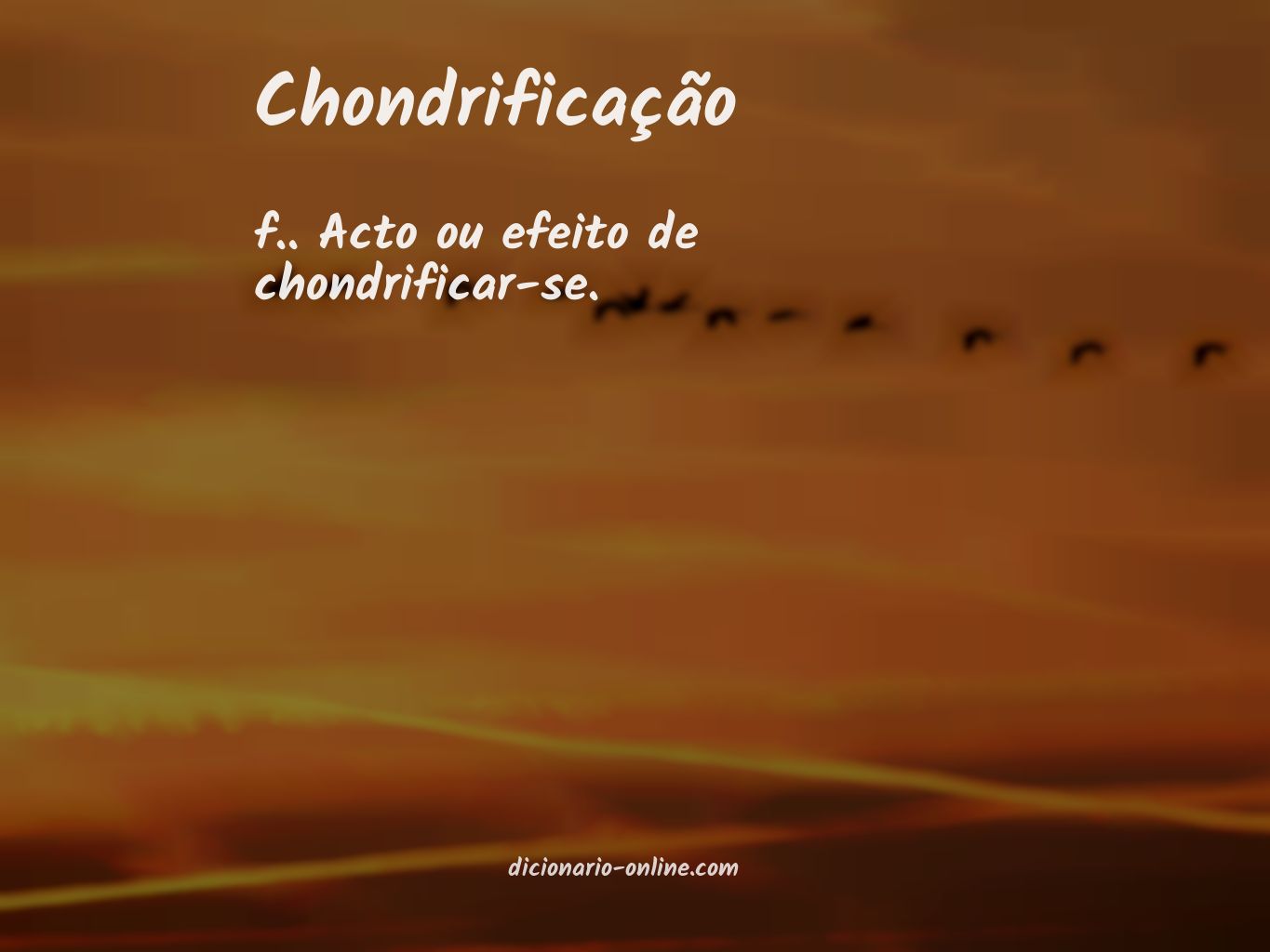 Significado de chondrificação