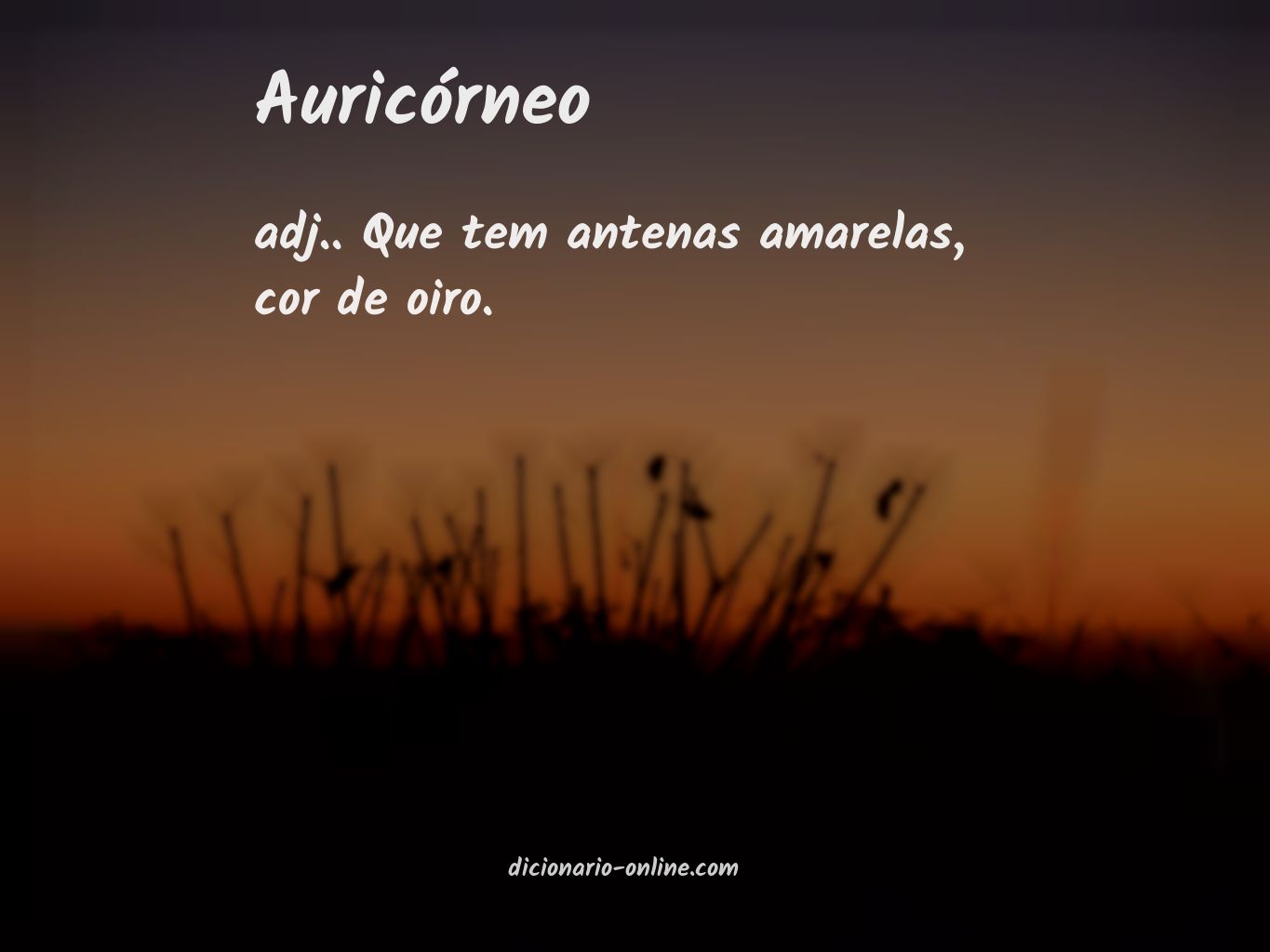 Significado de auricórneo