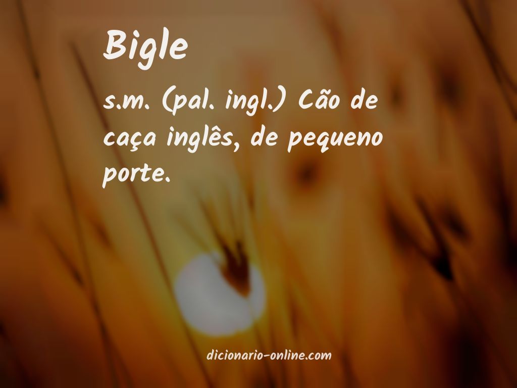 Significado de bigle