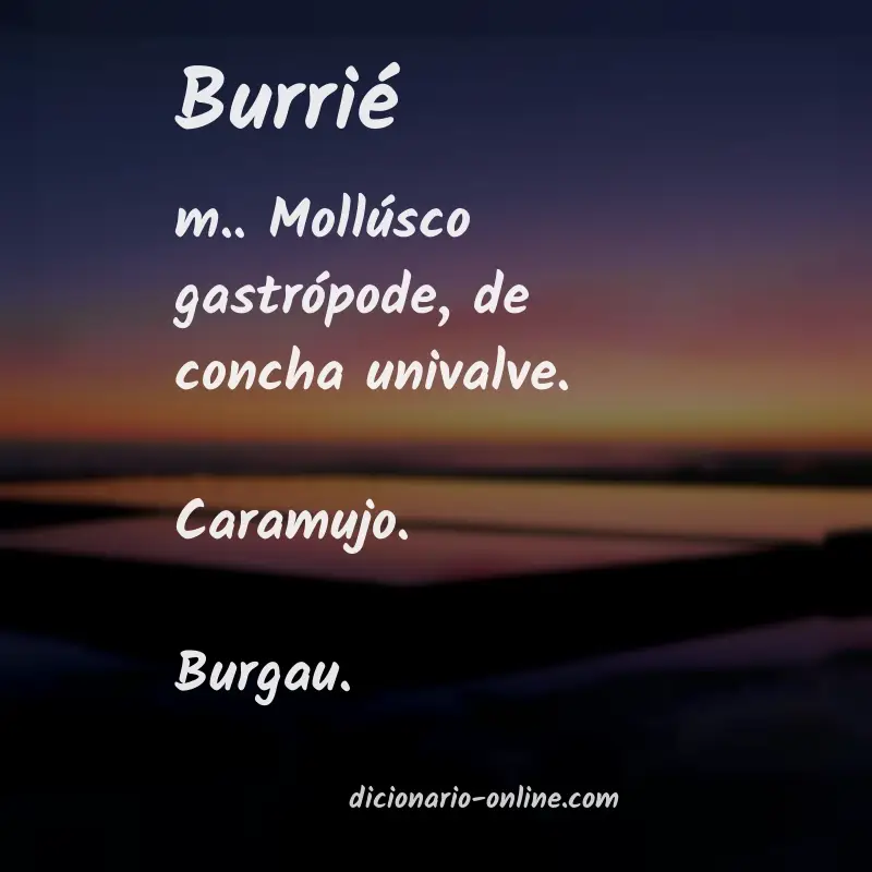 Significado de burrié