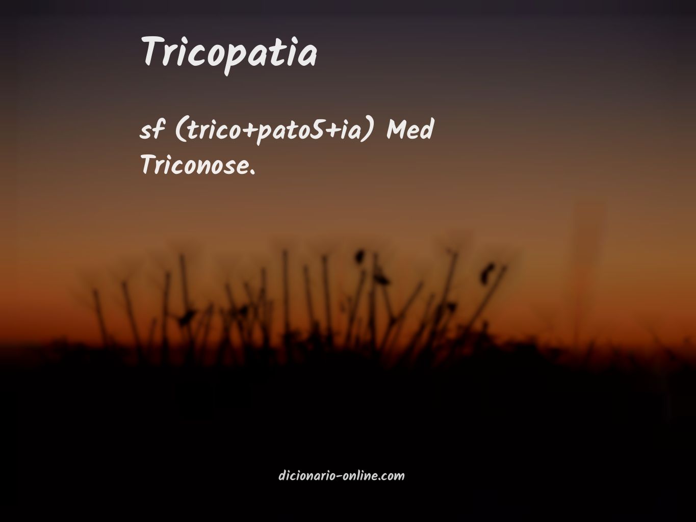 Significado de tricopatia