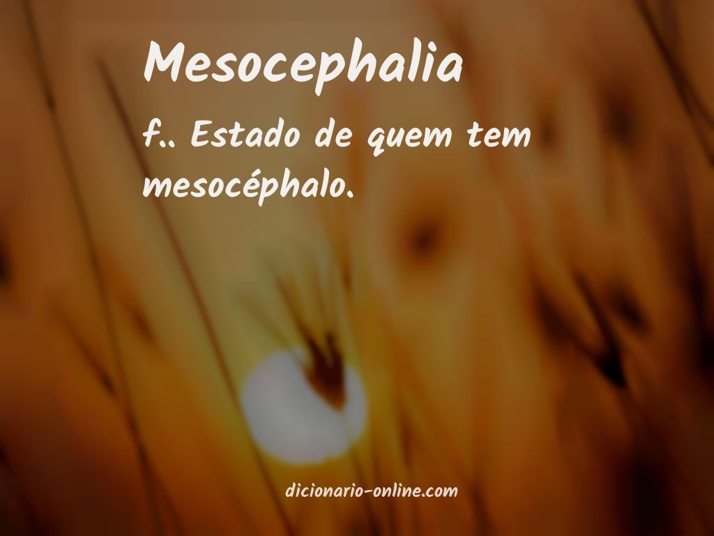 Significado de mesocephalia