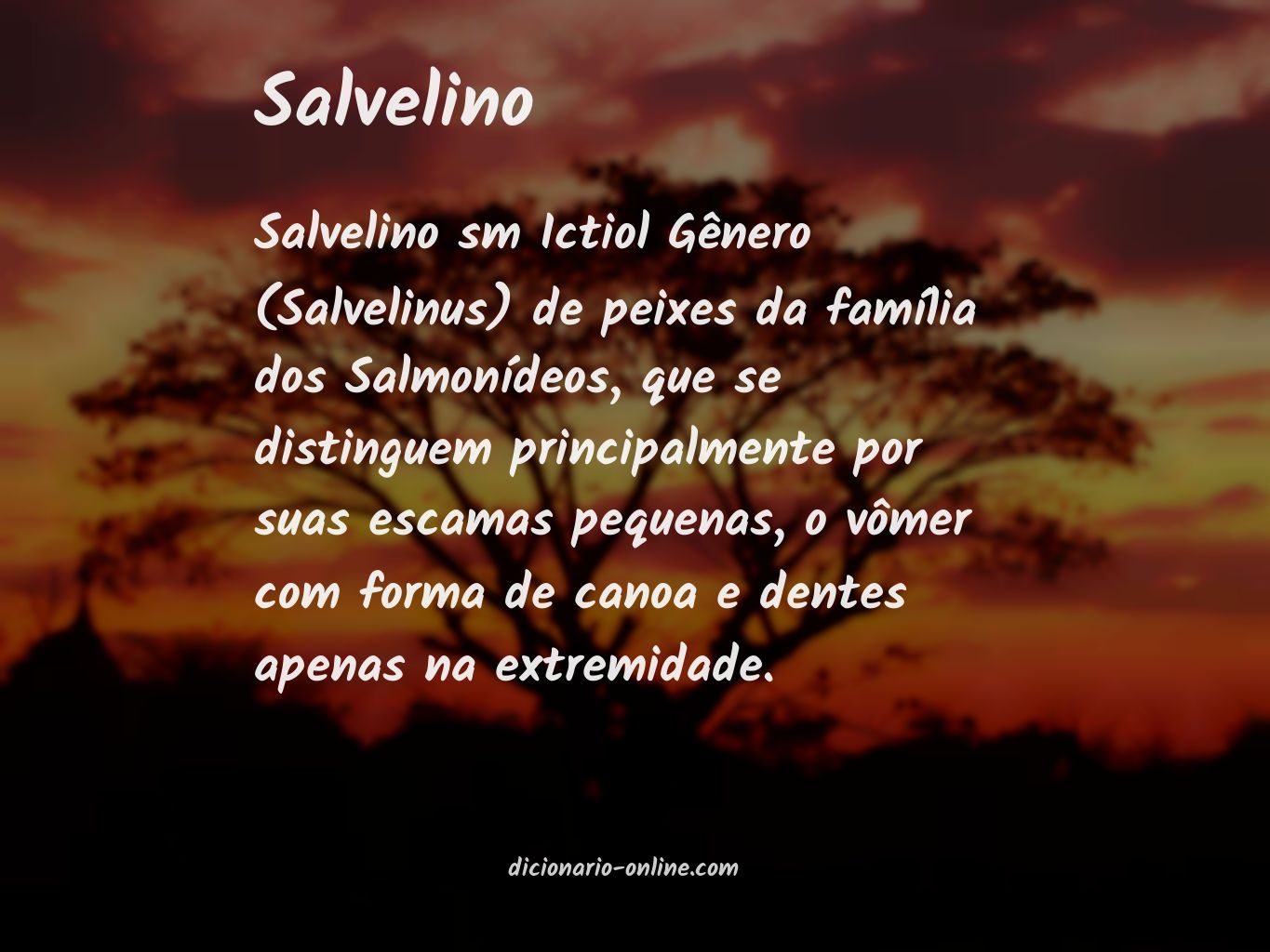 Significado de salvelino