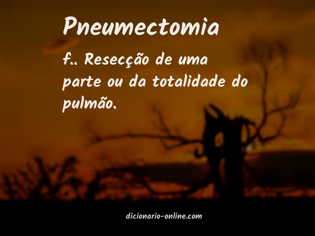 Significado de pneumectomia