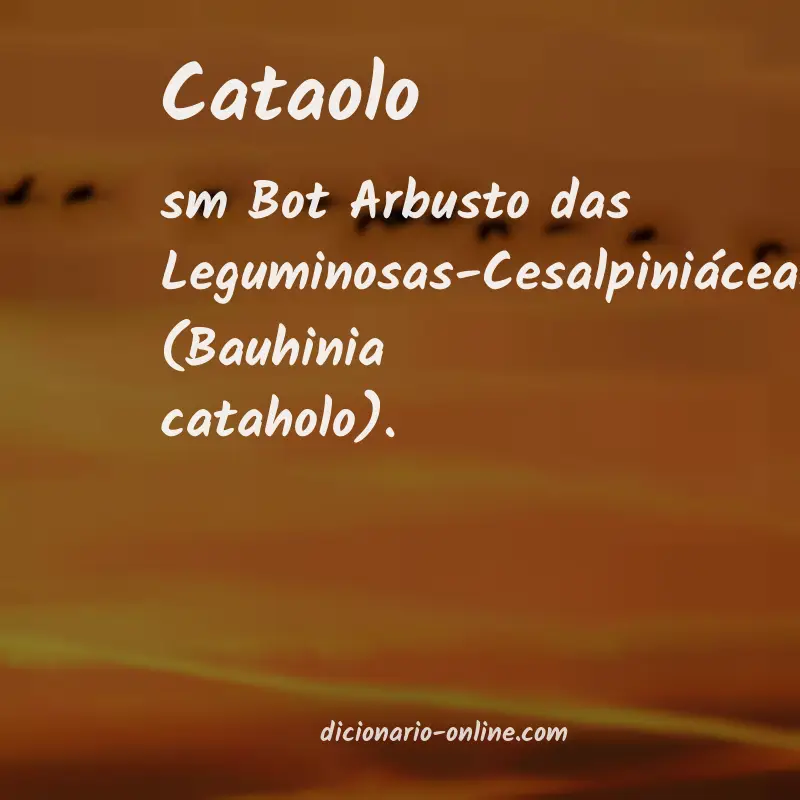 Significado de cataolo