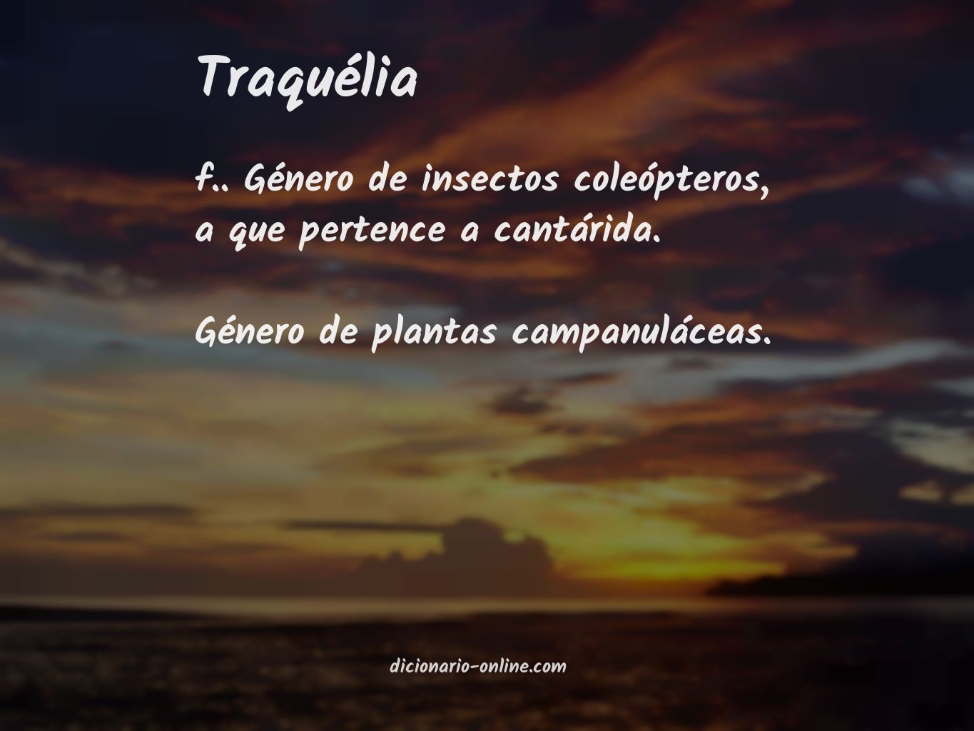 Significado de traquélia