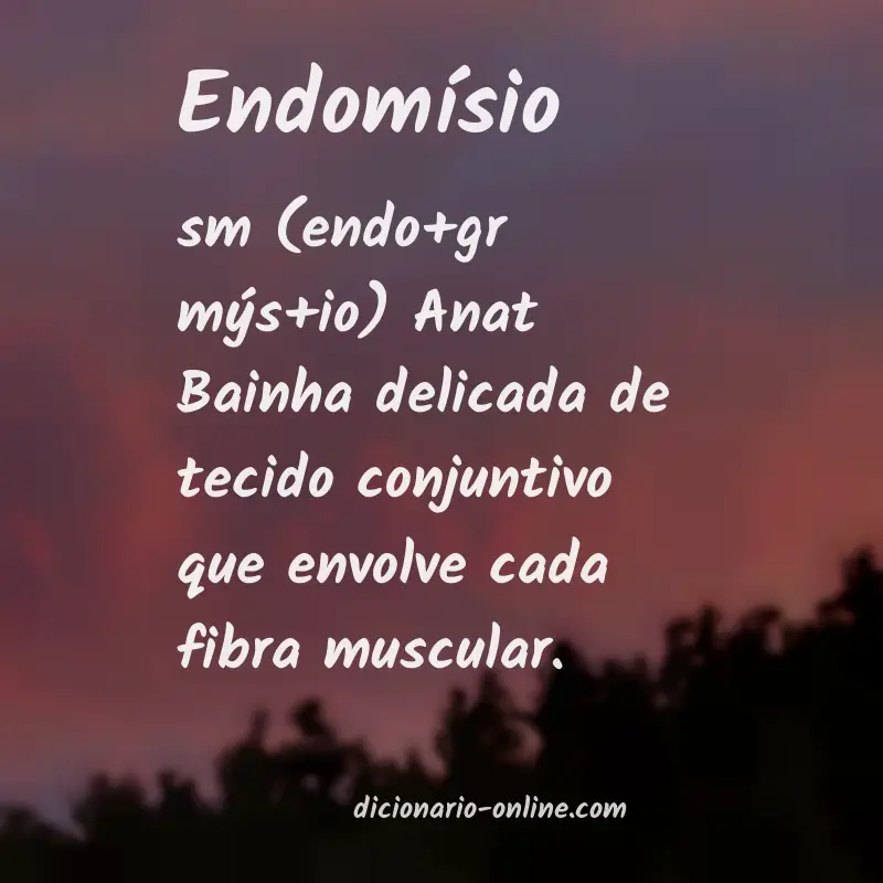 Significado de endomísio