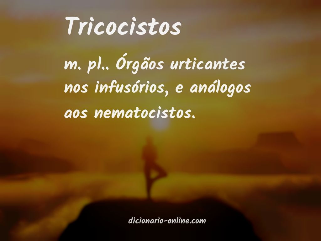 Significado de tricocistos