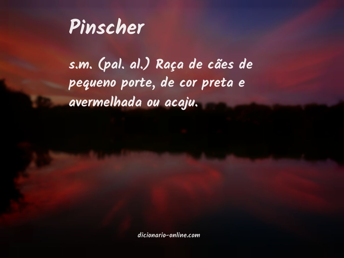 Significado de pinscher