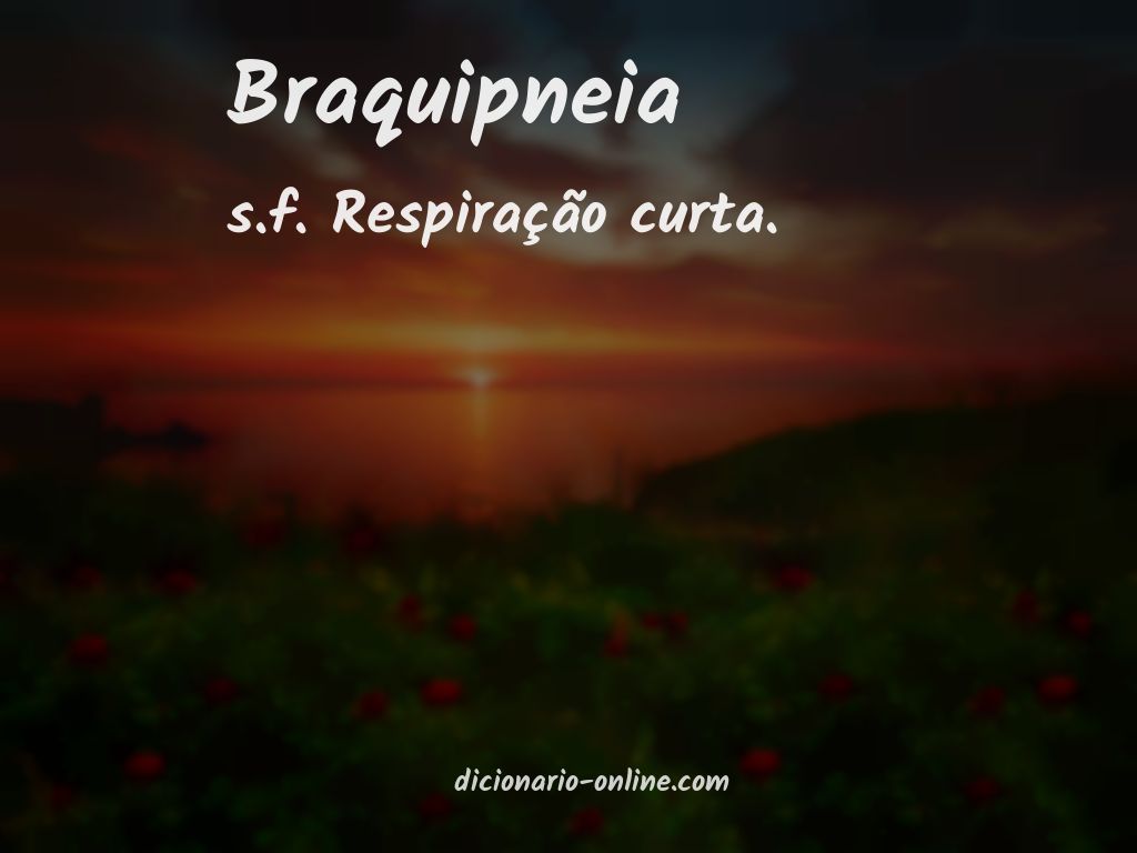 Significado de braquipneia