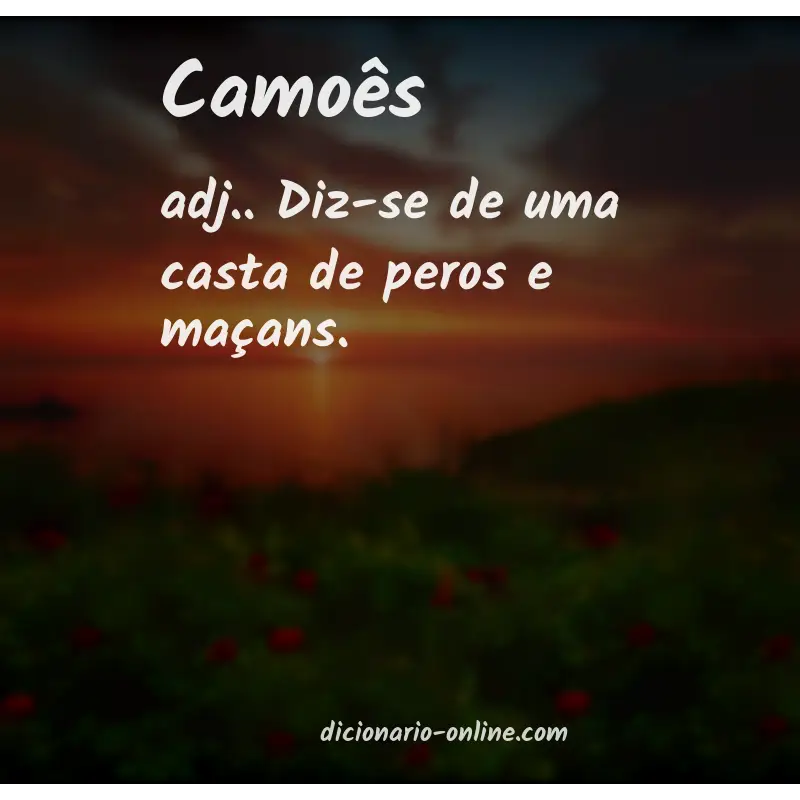 Significado de camoês